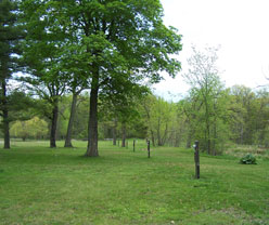Shady Creek Resort on Mille Lacs