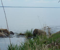 Shady Creek Resort on Mille Lacs