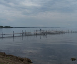 Shady Creek Resort on Mille Lacs